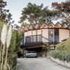 MID CENTURY LOVING COUPLE MAKES A TIME CAPSULE IN OAKLAND