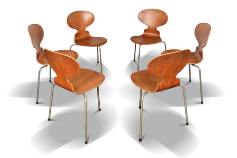 Arne Jacobsen Ant chairs