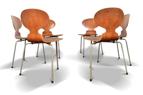 Arne Jacobsen Ant chairs