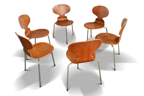 Arne Jacobsen Ant chairs