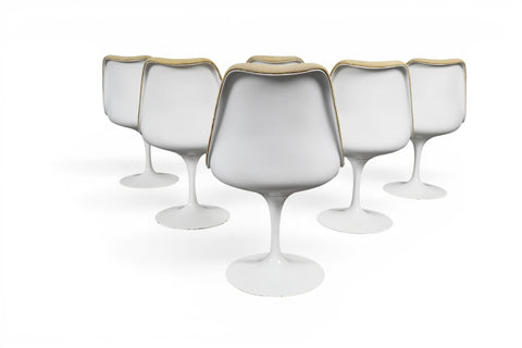Six Knoll Tulip dining chairs by Eero Saarinen, grouped view, restored condition