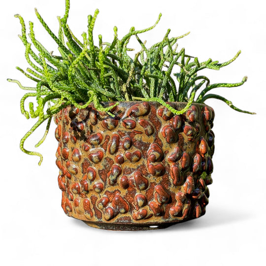 GOOPY AMOEBA SHINY GLAZED BROWN AND RUST PLANTER