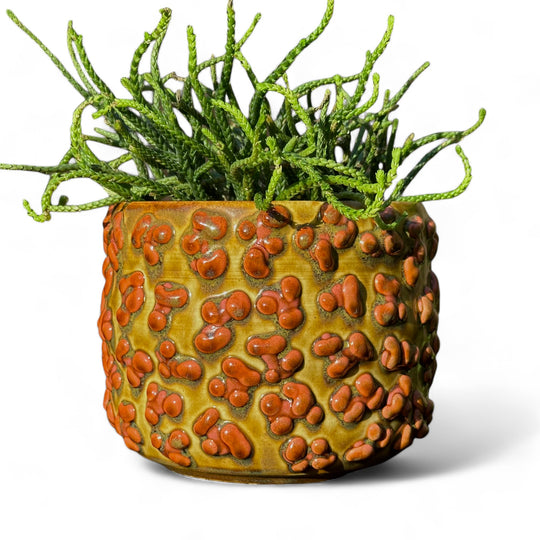 MUSTARD AND BURNT ORANGE GLAZED PLANTER