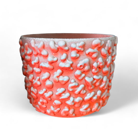 CORAL AMOEBA OMBRE SPARKLE PLANTER