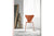 ARNE JACOBSEN MODEL 3107 SERIES 7 CLEAR LACQUER